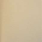 Papel De Parede Texture World Sem Desenho Marfim