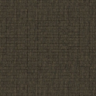 Papel De Parede Tropical Garden Listrado Tr1412