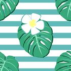 Papel De Parede Tropical Leaves - 0 50 X 3 00 Metros