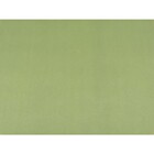 Papel De Parede - Verde Claro -  Rolo Com 10m X 53cm - Lms-pp