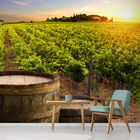 Papel De Parede Vinho Barril Vinhedo Vinícola Sala Adesivo -