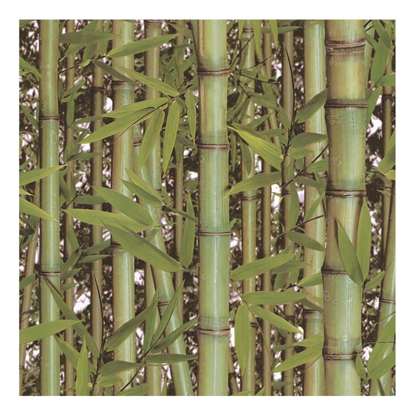 Papel De Parede Vinílico Bambu Verde 0,53x10m