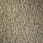 Papel De Parede Vinílico Bright Wall Y6130801 - Rolo: 10m X 0