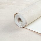 Papel De Parede Vinílico Chapisco Dk-0382 - 53cm X 10m( ± 3%)