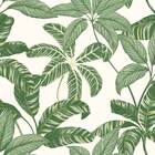 Papel De Parede Vinílico Contemporâneo Natural 4100 - Tam: 10