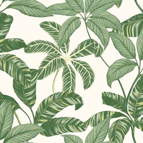 Papel De Parede Vinílico Contemporâneo Natural 4100 - Tam: 10