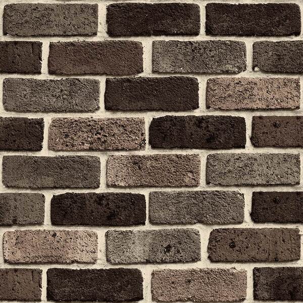 Papel De Parede Vinílico Contemporâneo Rústico 4147 - Tam: 10