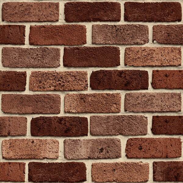 Papel De Parede Vinílico Contemporâneo Rústico 4148 - Tam: 10