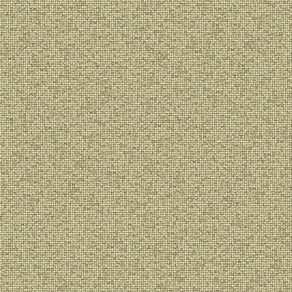 Papel de Parede Vinílico Unique Marrom Claro Liso 10x0,53m Wiler-K