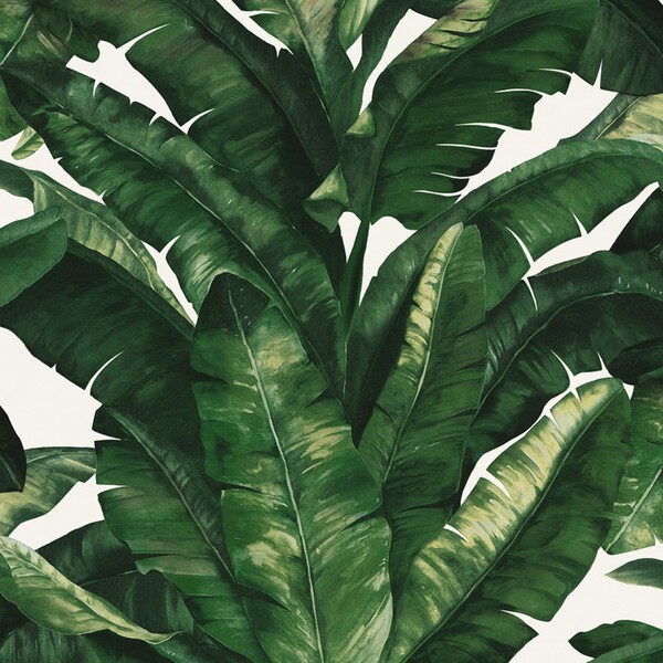 Papel de Parede Vinílico Unique Verde Folhagem 10x0,53m Wiler-K