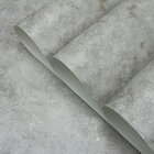 Papel De Parede Vinilizado Cimento Queimado Dk-0180 - 0,53x10