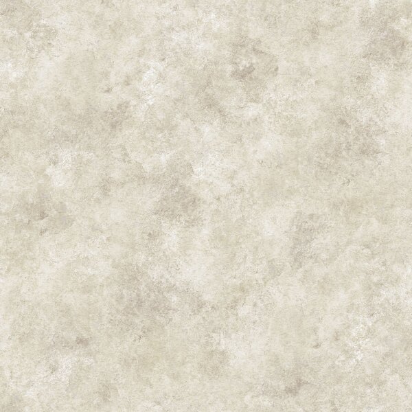 Papel De Parede Vinilizado Cimento Queimado Dk-0182 - 0,53x10