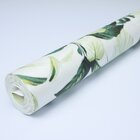 Papel De Parede Vinilizado Folhagem Dk-0164 - 0,68x9,14m ( ±