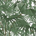 Papel De Parede Vinilizado Folhagem Dk-0166 - 0,53x10m ( ± 3%)