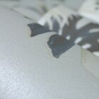 Papel De Parede Vinilizado Folhagem Dk-0173- 0,68x9,14m ( ± 3