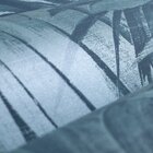 Papel De Parede Vinilizado Folhagem Dk-0356 - 0,53x10m (± 3%)