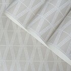 Papel De Parede Vinilizado Geométrico Dk-0305 - 53cm X 10m( ±