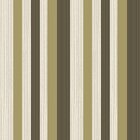 Papel De Parede Vinilizado Listrado Dk-0303 - 53cm X 10m( ± 3