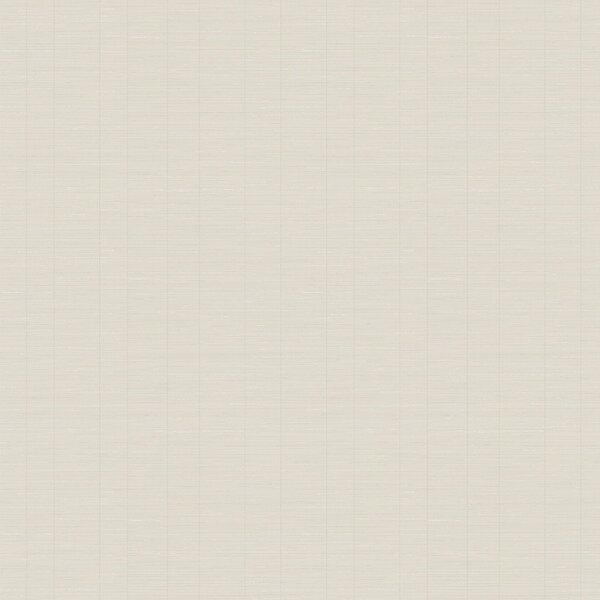 Papel De Parede Vinilizado Listras Dk-0372 - 53cm X 10m( ± 3%)