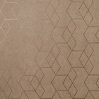 Papel De Parede Wiler Essencial - Geométrico Marrom (brilho)