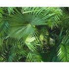 Papel De Parede Wood'n Stone 2 362001 - Rolo: 10m X 0,53m