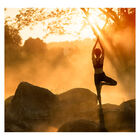 Papel De Parede Yoga Pilates Exercício Saúde Sala Painel - 27