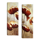 Par De Quadros 20x60   Flores Marrom