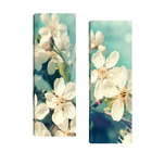 Par De Quadros 20x60  Cerejeira Branca