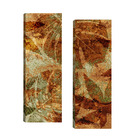 Par De Quadros 20x60  Folhas Terra