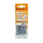 PARAF. PORCA E ARR. C. CHA. PH 4x30 15P