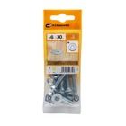 PARAF. PORCA E ARR. C. CHA. PH 6x30 8P