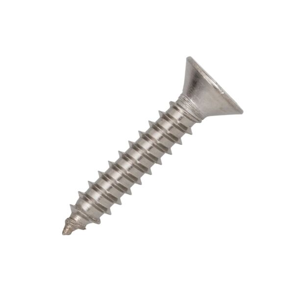 Parafuso Aço Inox 4.2 X 25 Aa Cabeça Chata Philips 100 Peças