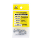 Parafuso Aço pra Maçaneta 2,9x13mm Auto Atarraxante Chata Philips 20 peças