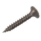 Parafuso de Aço para Drywall 3,5x25mm Agulha Trombeta Philips 100 peças