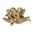 Parafuso de Aço para Madeira 4,5x20mm Auto Atarraxante Chata Philips 10 peças