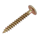 Parafuso de Aço para Madeira 4x30mm Auto Atarraxante Flangeada Philips 10 peças