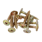 Parafuso de Aço para Madeira 5x30mm Auto Atarraxante Flangeada Philips 10 peças