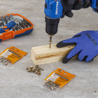 Parafuso de Aço para Madeira 5x30mm Auto Atarraxante Flangeada Philips 10 peças