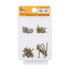 Parafuso de Aço para Madeira Diversos Auto Atarraxante Chata Philips 57 peças