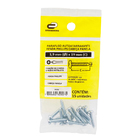 Parafuso de Aço para Metal 3,9x19mm Auto Atarraxante Panela Philips 15 peças