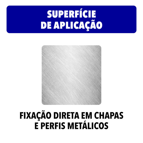 Parafuso de Aço para Metal 4,2x22mm Auto Atarraxante Panela Philips 10 peças