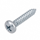 Parafuso de Aço para Metal 4,2x22mm Auto Atarraxante Panela Philips 10 peças