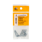 Parafuso de Aço para Metal 4,2x25mm Auto Atarraxante Panela Philips 10 peças