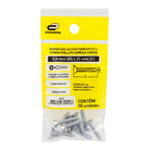 Parafuso de Aço para Metal 4,8x25mm Auto Atarraxante Chata Philips 10 peças