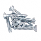 Parafuso de Aço para Metal 4,8x32mm Auto Atarraxante Chata Philips 10 peças