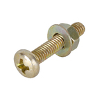 Parafuso de Aço para Metal 4x20mm Máquina Panela Philips 10 peças