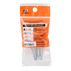 Parafuso de Aço para Telha 5,5x63mm Auto Brocante Sextavada sem Fenda 6 peças