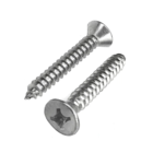 Parafuso Auto Atarraxante Chata Philips Inox 100 Peças Wm 4,2