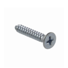 Parafuso Auto Atarraxante Chata Philips Inox 100 Peças Wm 4,8