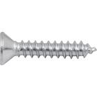 Parafuso Autoatarraxante 3,5x19 Phillips C/ 20 Peças Vonder